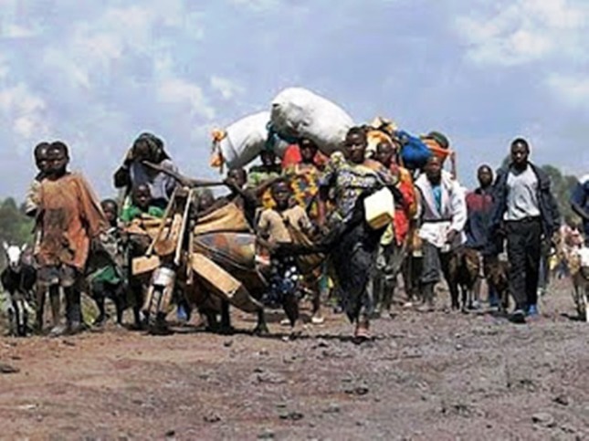 les refugies congolais 1